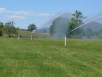 sprinkler 2.jpg